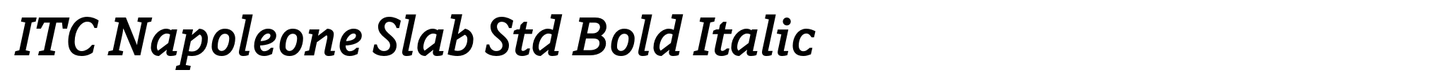 ITC Napoleone Slab Std Bold Italic image